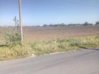 Продажа земли в с. Большая Балка