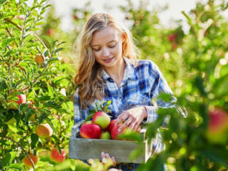 Требуются рабочие