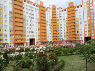 3-комнатная + ливинг. 115 кв. м. Ботаника.