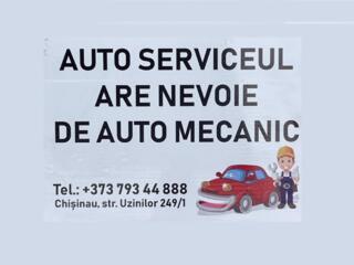 Mecanic auto urgent! 60%, Ciocana. Нужен АВТОМЕХАНИК широкого профиля