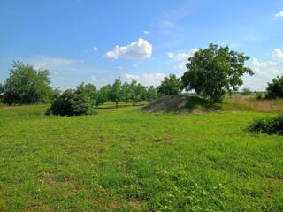 Продам земельный участок (20 соток) в с. Карагаш. $ 6000