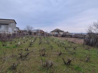 Участок центр 7 соток