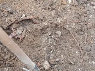 Ищу работу разнорабочий