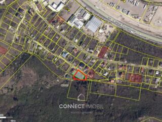 I.P Apicultorul, Trușeni, Chisinau