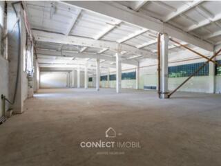 Şos. Muncești, Botanica, Chisinau