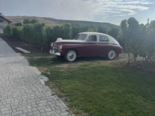 Администратор кинотеатра под открытым небом KISLOV