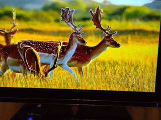 Продам телевизор Grundig 32" 80см диагональ Toshiba 23'' 70 см