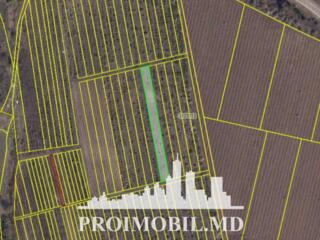 Spre vânzare se oferă teren pentru construcții, situat în ...