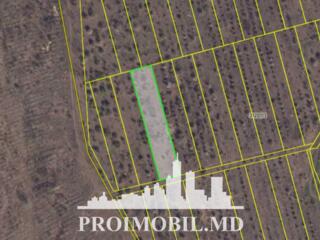 Spre vânzare se oferă teren pentru construcții, situat în ...