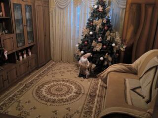 Отличное решение для большой семьи