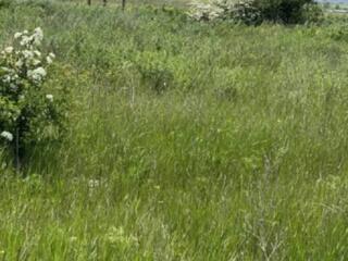 Предлагается к продаже участок 10 соток на застроенной улице в ...