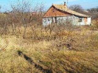 Дом в селе Дальник — тишина, простор и близость к морюПредлагается ...