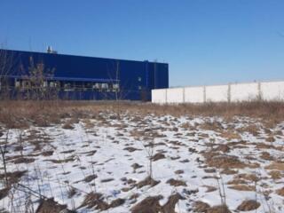 Пропонується до продажу рівна земельна ділянка площею 6 сотокУ ...