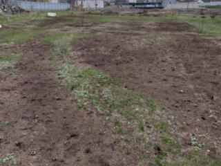 Продается участок на границе с Нерубайское.