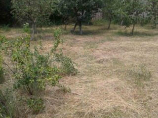 Предлагается к продаже земельный участок в Великий Балке (10 км от ...