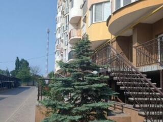 Помещение в новом ЖК