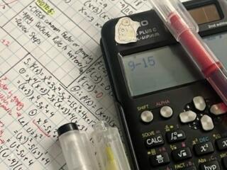 Сочинения, эссэ, проекты, (ПОДГОТОВКА К ОГЭ И ЕГЭ)