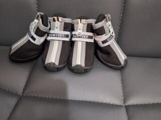 Ботинки для собак, размер 2