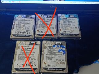 Скоростные, надёжные HDD. Western Digital. 7200 об/мин. 