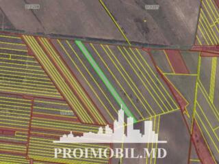 Spre vânzare se oferă teren agricol, situat în com. Băcioi, sat. ...