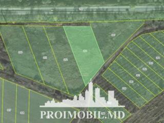 S pre vânzare se oferă teren cu destinație agricolă, situat la prima .