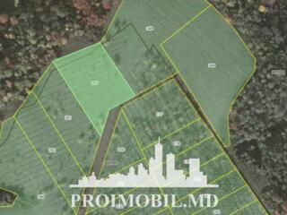 S pre vânzare se oferă teren cu destinație agricolă, situat la prima .