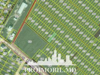 S pre vânzare se oferă teren cu destinație agricolă, situat la prima .