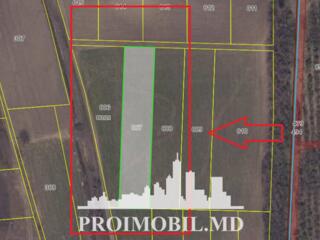 Spre vânzare se oferă teren agricol, situat în Ialoveni, s. Mileștii .