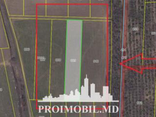 Spre vânzare se oferă teren agricol, situat în Ialoveni, s. Mileștii .