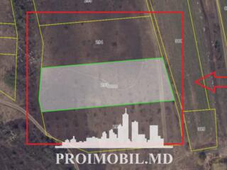 Spre vânzare se oferă teren agricol, situat în Ialoveni, s. Mileștii .