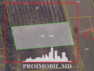 Spre vânzare se oferă teren agricol, situat în or. Ialoveni, s. ...