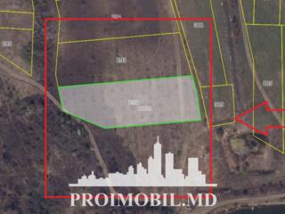 Spre vânzare se oferă teren agricol, situat în or. Ialoveni, s. ...