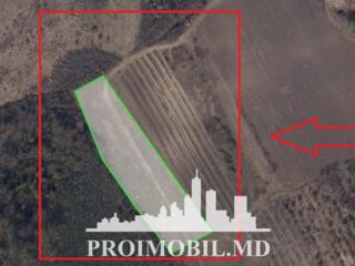 Spre vânzare se oferă teren agricol, situat în or. Ialoveni, s. ...