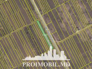 S pre vânzare se oferă teren agricol, situat în Durlești, Poiana ...