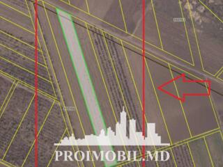 Spre vânzare se oferă teren agricol, situat în or. Ialoveni. ...