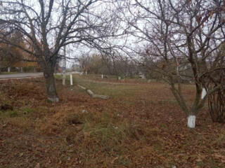 Продажа участка в с. Нерубайском