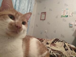 Срочно! Читайте внимательно объявление до конца!