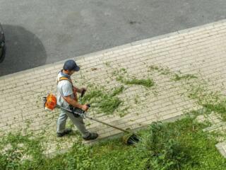 МУП САХ требуются газонокосильщики. З/П сдельная от 10 000 руб/мес.