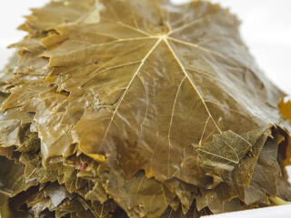 Нежные, Молодые виноградные листья как свежие