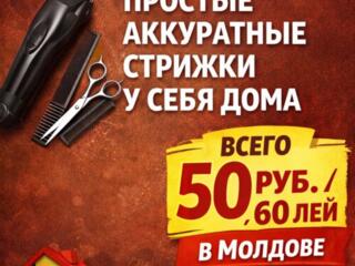 Стрижка 50р