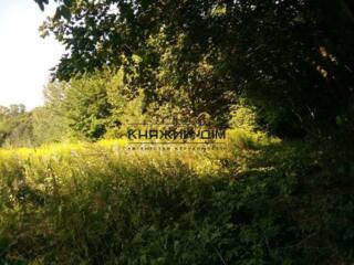 Продается 3 участка по 25 соток каждый в с. Малая Ольшанка в ...