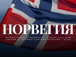 Проекты, рефераты, доклады