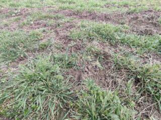 Продается земельный участок в городе Черноморск – идеальный вариант ..