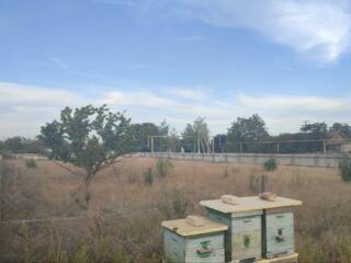 Продаётся ровный, чистый участок правильной формы, огорожен по ...