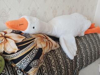 Гусь-обнимусь