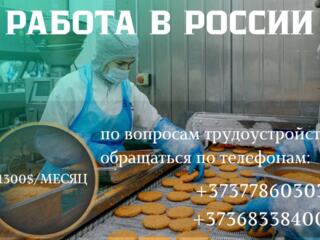 РАБОТА В РОССИИ