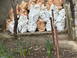 ДАРОМ Строительный мусор