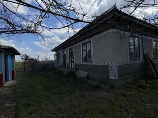 Участок +2 дома на участке (25 соток)с. Чобручи 6500$