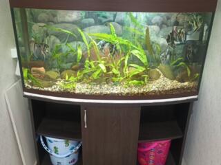 Продам заводской аквариум 220л