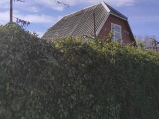 Дача СОТ "Жемчуг" м/н "Северный"